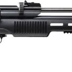 BEEMAN 1085-22 II CO2 .22 - PELLET AIR RIFLE 10 SHOT 2 108522