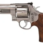 SMITH AND WESSON 610 MOUNTAIN GUN 10MM 4" SS 2 10mmmountain8fa9