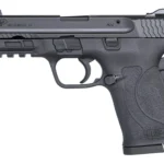 SMITH AND WESSON M&P380 SHIELD EZ 380ACP NTS 2 1800239999