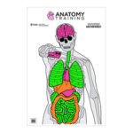 ACTGS ANATOMY 100 1