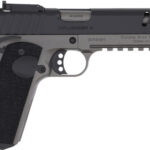 G391530