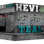 HEVIHS60006 1