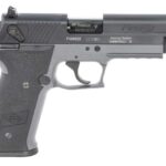 atgerg2210ffs008f