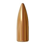 https3A2F2Fmedia.chattanoogashooting.com2Fimages2Fproduct2FSYSCI2255FMJ2502FSY 224