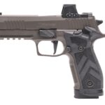 p226x5legrx6b9b