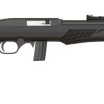 rs22L1811
