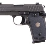 sig9386bae