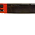 ts24161