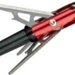 R60100