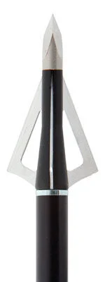 WASP BROADHEAD HAMMER SST - 3-BLADE FIXED 100GR 1 3/16"3PK 1 WASP BROADHEAD HAMMER SST - 3-BLADE FIXED 100GR 1 3/16"3PK