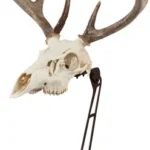 ALLEN EZ MOUNT CENTERPIECE - SKULL STAND BROWN 2 7226A