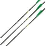 ALLEN XBOW ARROW 20" CX600 3" - VANES MOON NOCK 3PK 2 93120