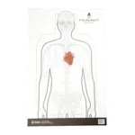 ACTFLDC P 100 1