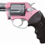 CHARTER ARMS PINK LADY 38SPC PINK/SS 2" 5RD 2 CH53830