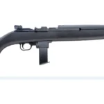 CHIAPPA FIREARMS M1-22 CARBINE 22LR BL/PLY 10RD 2 CI500.083