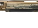 G011785204