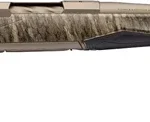 G036146211 1