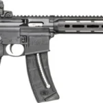 S&W M&P15-22 SPORT 22LR 16.5" - 25-SH B5 SYSTEM W/ SIGHTS BLK 5 G14180 1