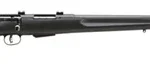 SAVAGE 25 WALKING VARMINTER - 22HORN 22" ACU-TGR BL/BLK SYN 2 G19153