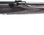 SAVAGE A17 17HMR SPORTER 22" - ACCU TGR BLU/GRY LAM SPORTER 5 G47008