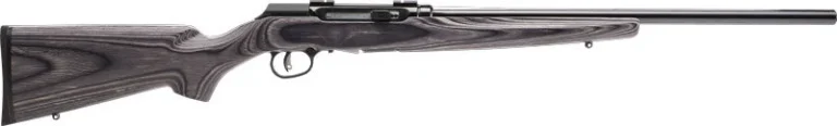 SAVAGE A17 17HMR SPORTER 22" - ACCU TGR BLU/GRY LAM SPORTER 3 SAVAGE A17 17HMR SPORTER 22" - ACCU TGR BLU/GRY LAM SPORTER