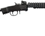 CHIAPPA LITTLE BADGER 22LR - TAKE DOWN EXTREME 16.5" MATTE 2 G500265