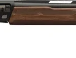 G511210391