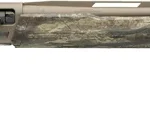 G511329391