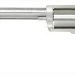 DESERT EAGLE BFR 500S&W - 10" STAINLESS RUBBER 2 GBFR500SW10
