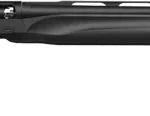 GBRACEPAL28 1