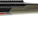 GJBRX1G31620