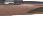 TIKKA T1X HUNTER 22LR 20" - THREADED WOOD BLUED 5 GJRT1XH300