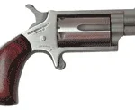 NAA MINI-REVOLVER COMBO 1-1/8" - 22LR/22WMR S/S MATTE WOOD 2 GNAA22MSC