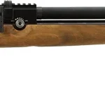 JTS AIRACUDA STND PCP .22 CAL - AIR RIFLE 10-SHOT MAG 920FPS 2 JAGACUDA22