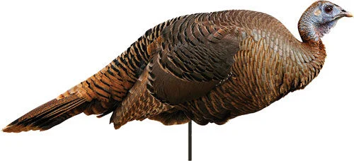MONTANA DECOY TURKEY SPRING - FLING HEN 1 MONTANA DECOY TURKEY SPRING - FLING HEN
