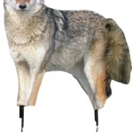 MONTANA DECOY COYOTE SONG DOG 2 M0079