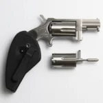 NORTH AMERICAN ARMS SIDEWINDER 22M/22L 1-1/8" HOLS 2 NONAA SWC HG