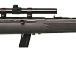SAVAGE ARMS 64 SEMI-AUTO 22LR BL/SYN PKG 2 SV64FXP