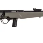 ROSSI RB22 22LR BLK/ODG 16.5" 10+1 2 btrb22l1611od1c69