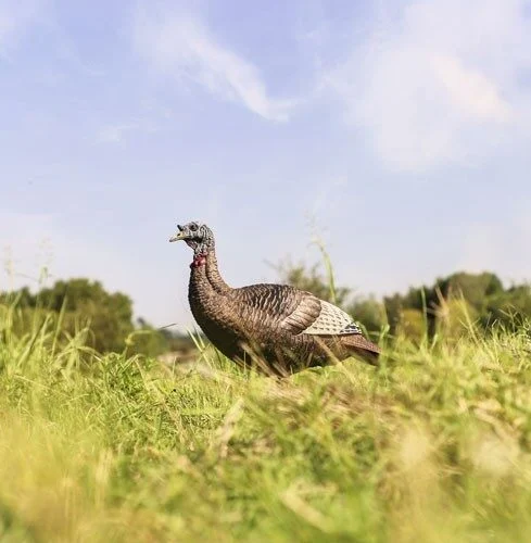 FLEXTONE THUNDER CHICK UPRIGHT - HEN DECOY W/STAKE 2 FLEXTONE THUNDER CHICK UPRIGHT - HEN DECOY W/STAKE - Image 2