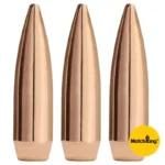 https3A2F2Fmedia.chattanoogashooting.com2Fimages2Fproduct2FSI2200C2Fsierra matchking rifle bullets 500 ct 30 cal 308 168 gr hpbt si2200c