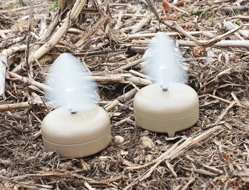 MOJO DOVE A FLICKER (4 PACK) 3 MOJO DOVE A FLICKER (4 PACK) - Image 3