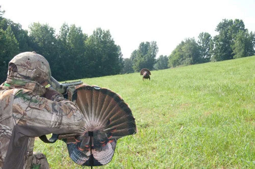 MONTANA DECOY TURKEY GOBBLER - FANATIC 2D 2 MONTANA DECOY TURKEY GOBBLER - FANATIC 2D - Image 2