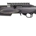 ssebp22g0356